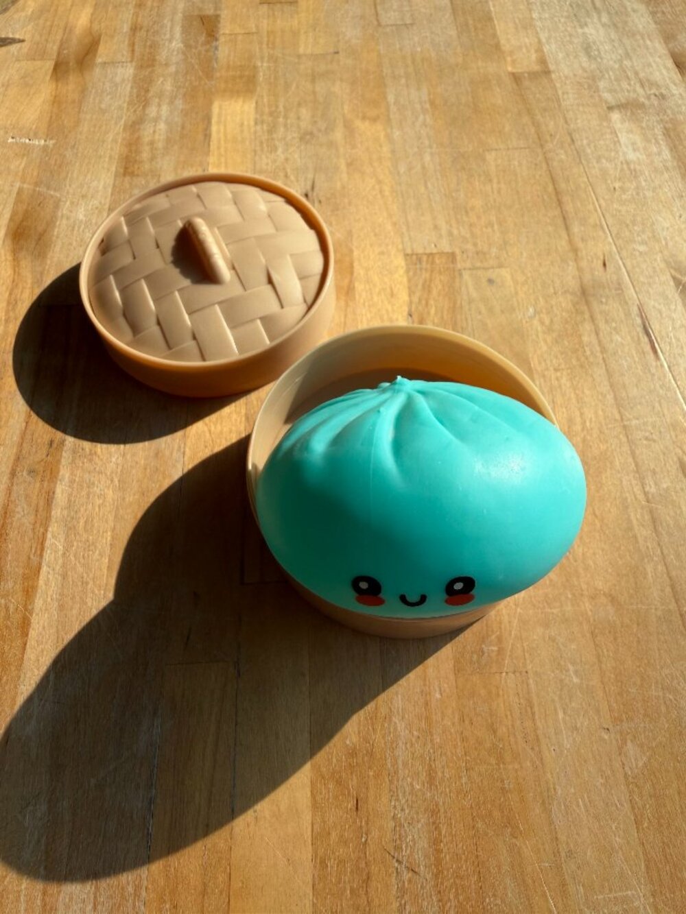Crazy Fun RMS Mystery Dumpling Rainbow Mystery - Brand New Opened - Teal